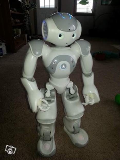robot NAo qui jaunit ...... !!!!!!!!!!!! - Robots à pattes et jambes,  humanoïdes, bipèdes, quadrupèdes, hexapodes ... - Robot Maker